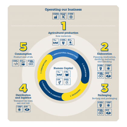 Pernod Ricard value_chain_sdg_chart