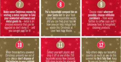 12 Days of Christmas